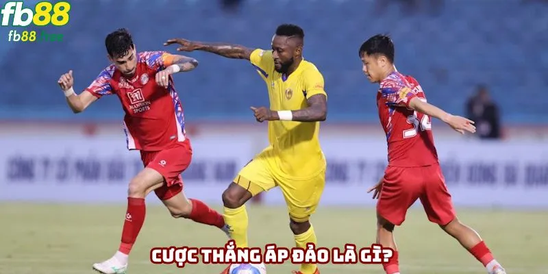 Cược thắng áp đảo là gì? Giải thích chi tiết cho newbie