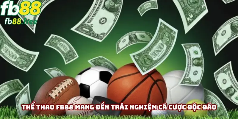 Thể thao FB88 mang đến trải nghiệm cá cược độc đáo