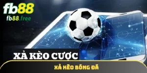 Xả kèo bóng đá